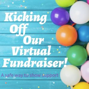 Virtual Fundraising SM Kit B